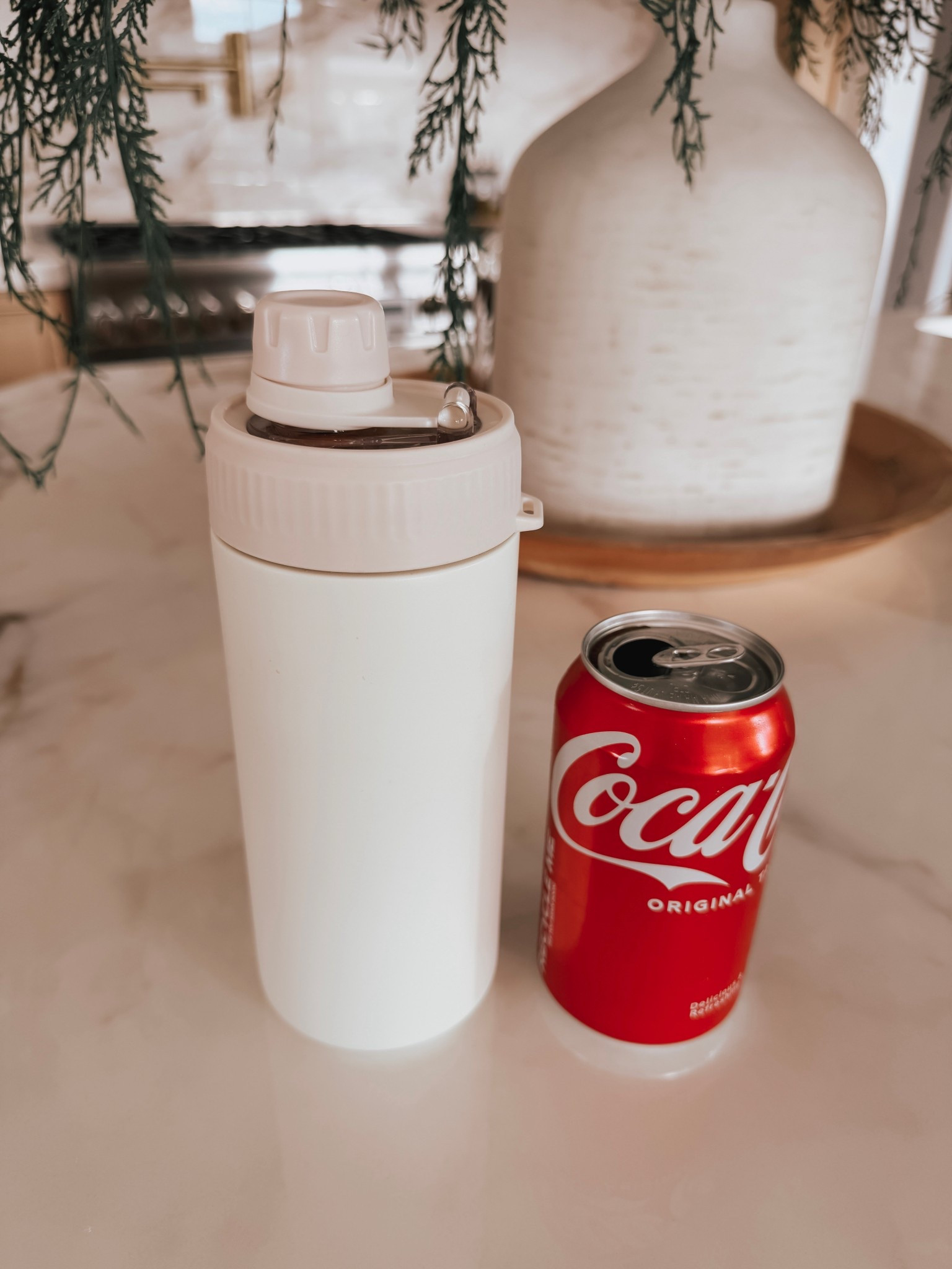 One of my favorite low key everyday upgrades for my drinks to stay cold

#LTKHome #LTKdayinmylife