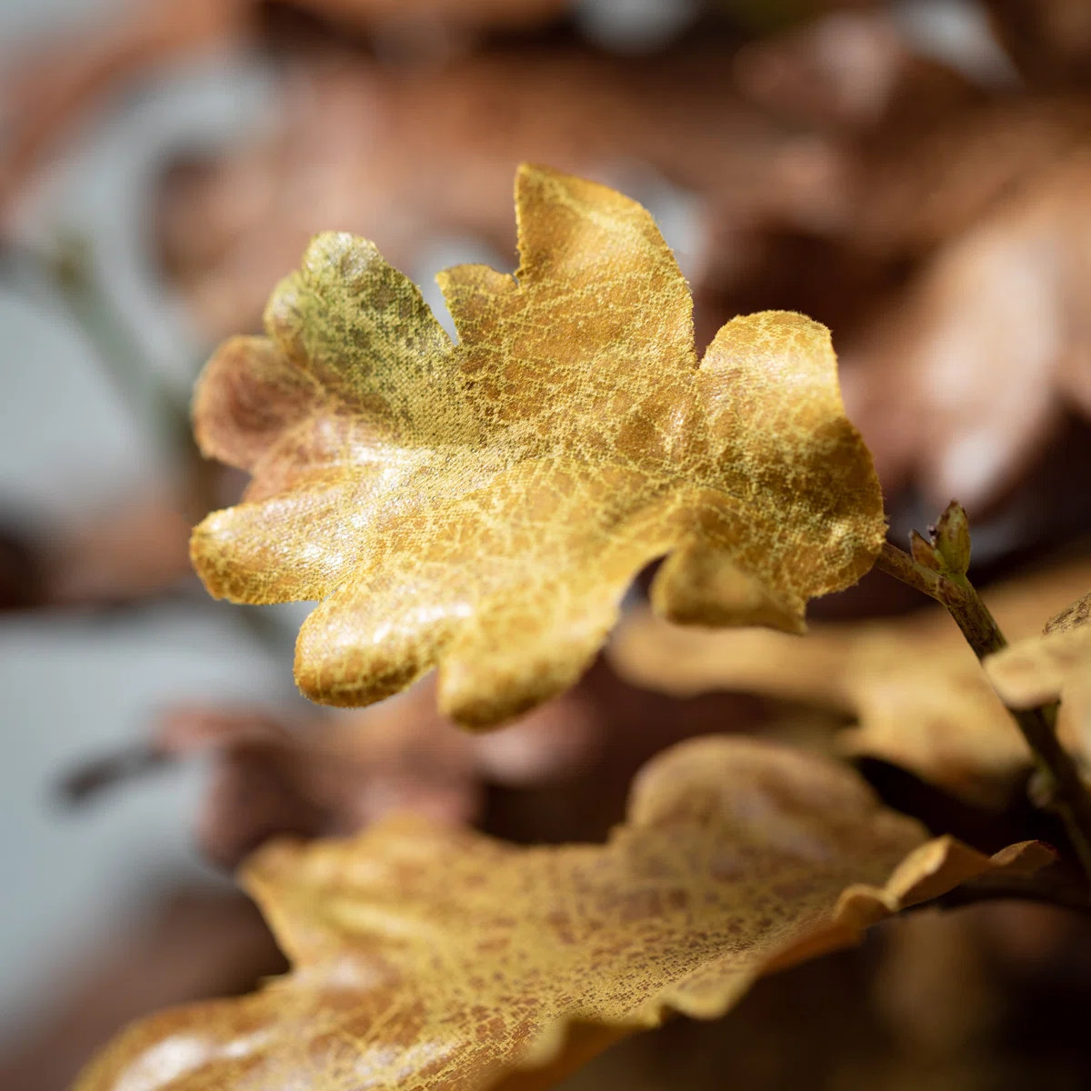 Oak Leaf Arrangement (Set of 3) | Wayfair North America
