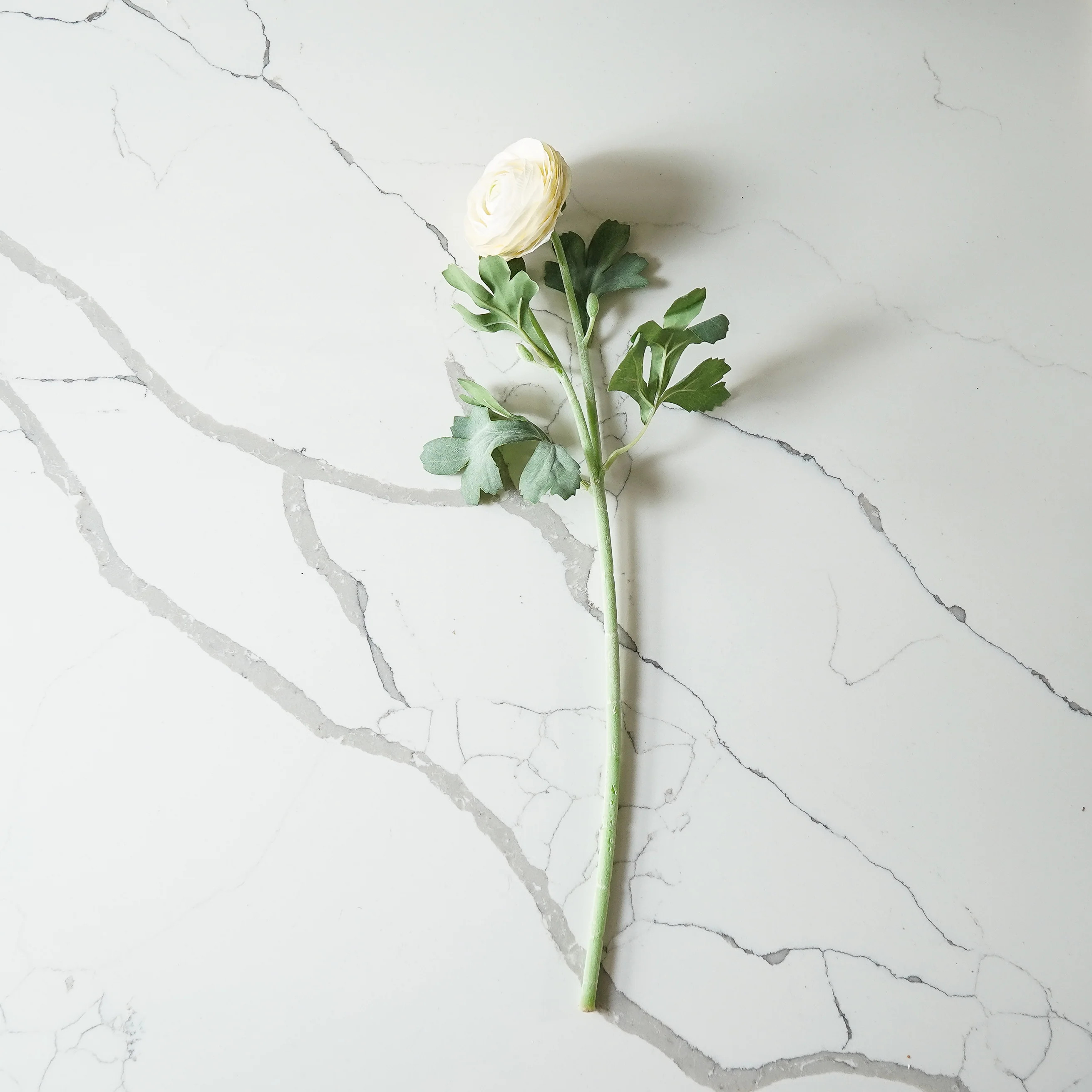 Real Touch Ranunculus Stem | White | MJHome