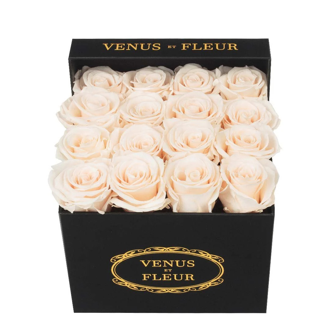 Small Square | Venus ET Fleur
