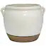 allen + roth 7.87-in W x 7.28-in H White Ceramic Planter Lowes.com | Lowe's