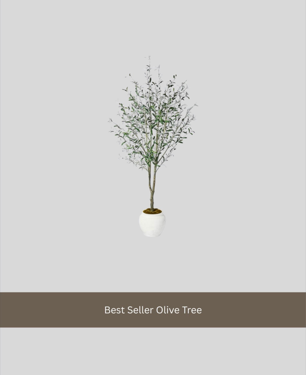 Favorite Olive Tree


Studio McGee
Olive tree

#LTKHome