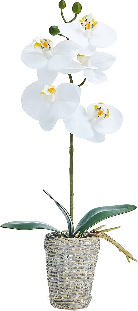 Mikasa Artificial Orchid in Pot, Real Touch Phalaenopsis Orchid, Embossed Basket Weave Cement Pot... | Amazon (US)
