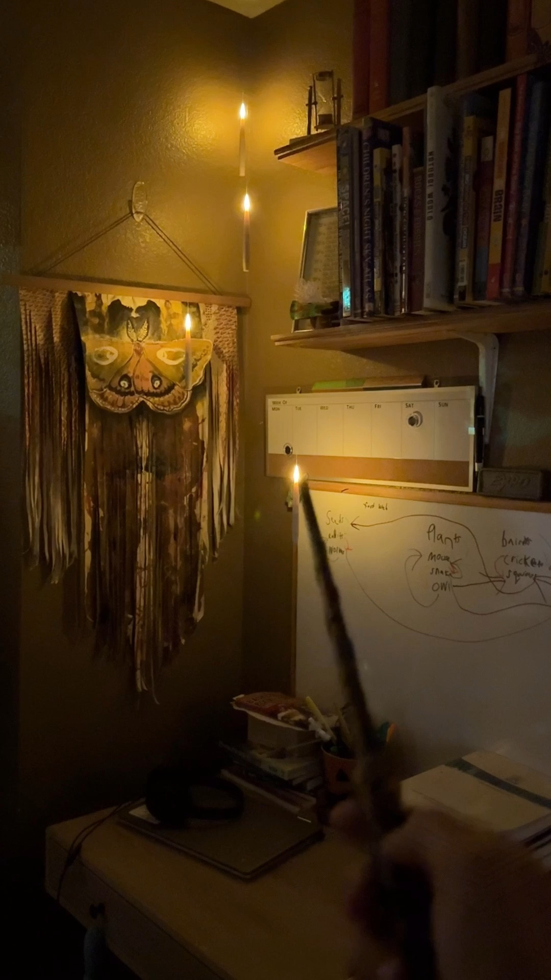 LUMOS 🪄 Immediately elevate your Christmas decor with these “floating” candles! They even have A WAND! I put them all over our school room and we may be obsessed. 