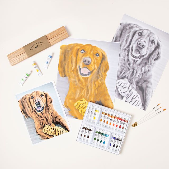 Custom Pet Paint by Shadows Kit​ | UncommonGoods