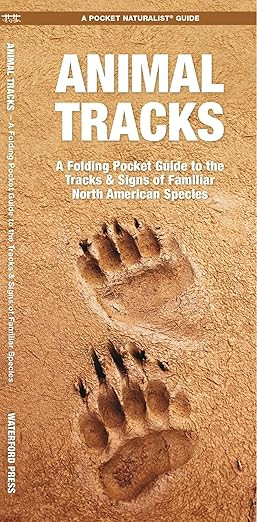 Animal Tracks (Nature Observation North America)      Pamphlet – May 1, 2000 | Amazon (US)