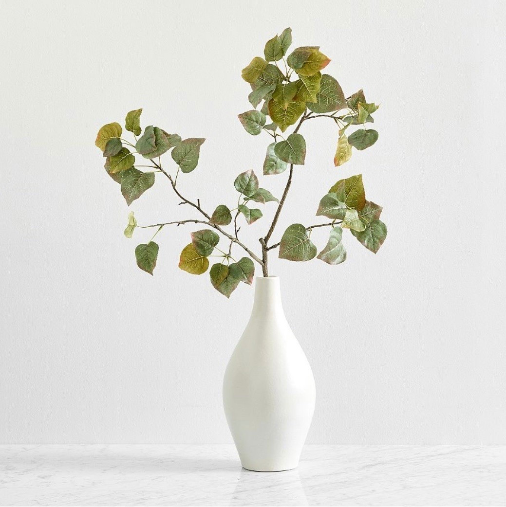 Pottery barn 
Faux aspen leaf branch
CLEARANCE‼️‼️‼️

Faux plant, faux flowers, fake plant, faux branches, home decor

#LTKU #LTKHome #LTKSaleAlert