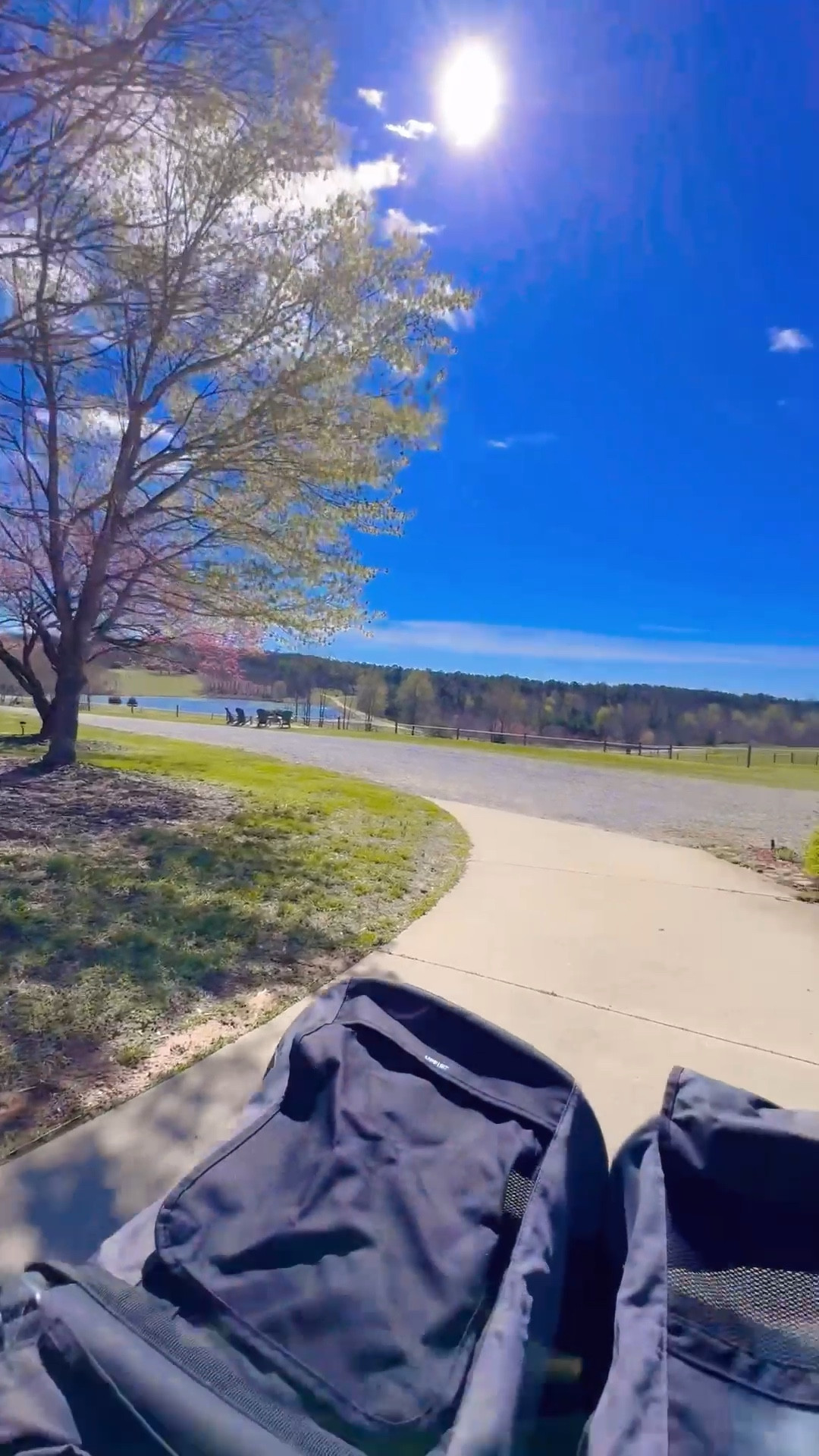 A chilly but beautiful St. Patrick’s Day walk around the farm! 🌳☀️🍀