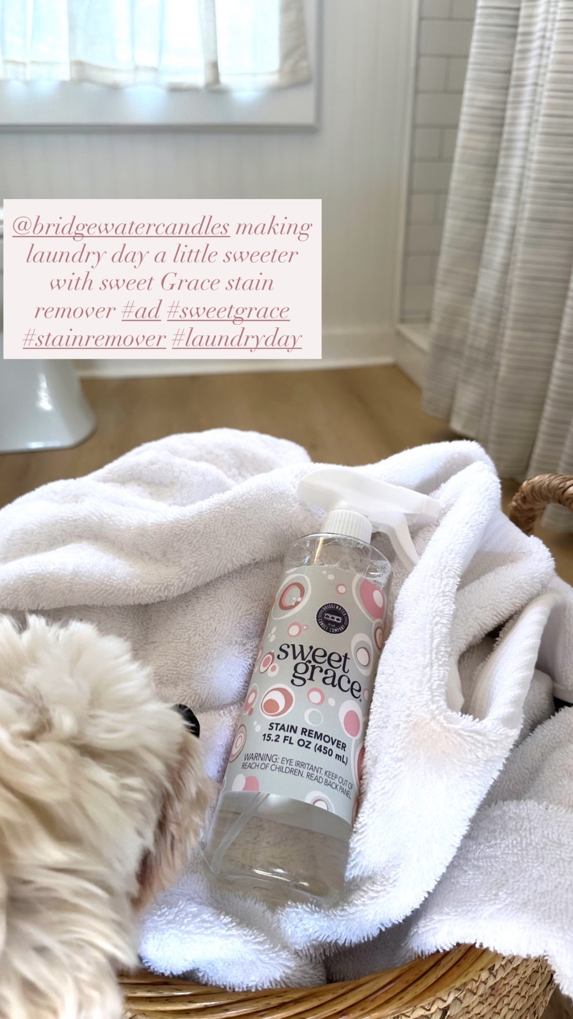 @bridgewatercandles making laundry day a little sweeter with this seeet grace Stain remover #ad #sweetgrace #stainremover #laundryday 

#LTKselfcare #LTKmorningroutine #LTKdayinmylife