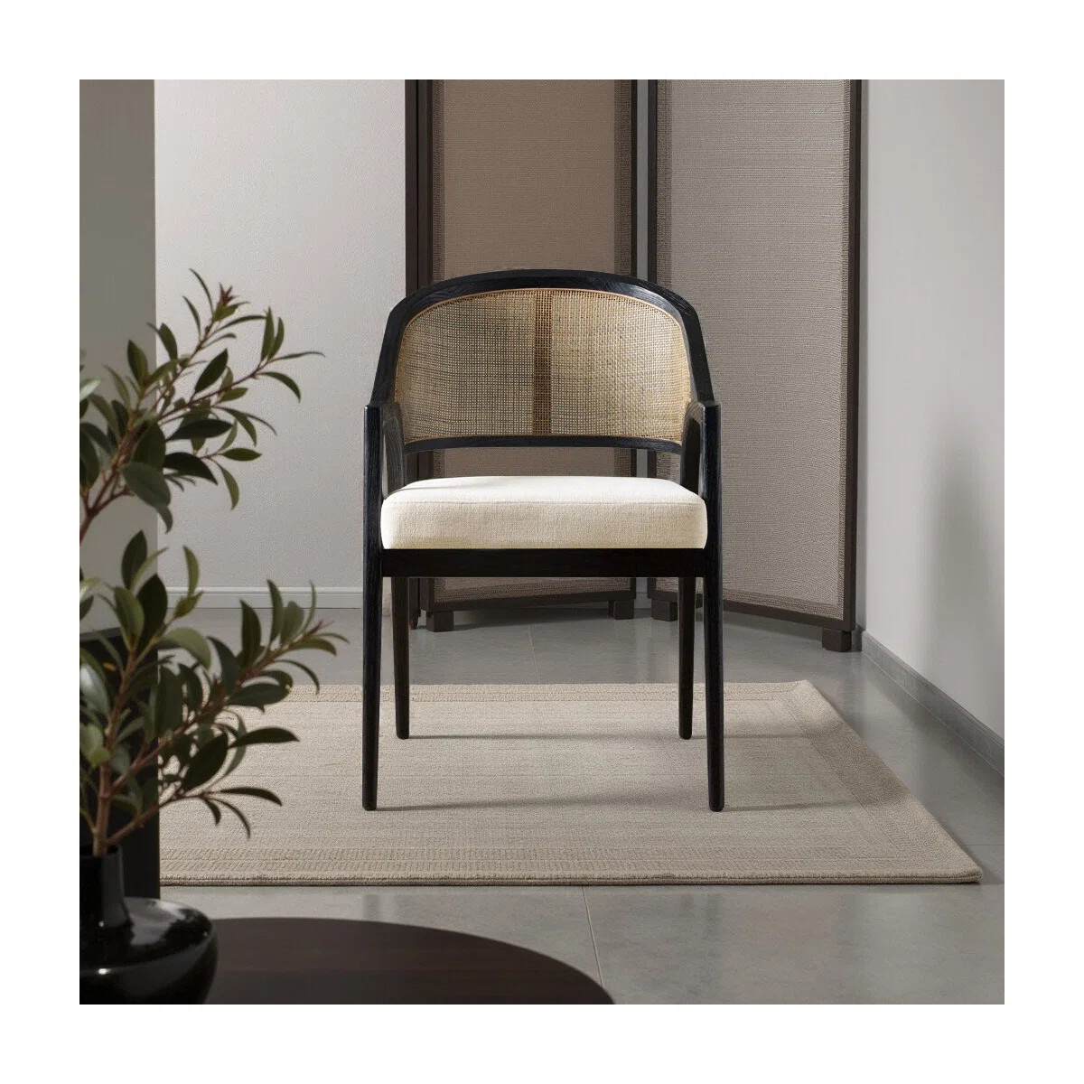 Aliha 19'' H Foam Padding Upholstered Cane Back Side Chair (Set of 2) | Wayfair North America