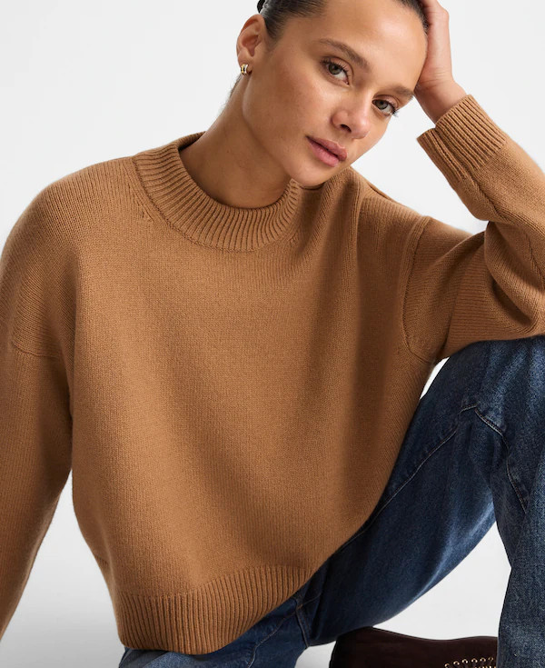 SoftWool Boxy Crewneck Sweater | Madewell