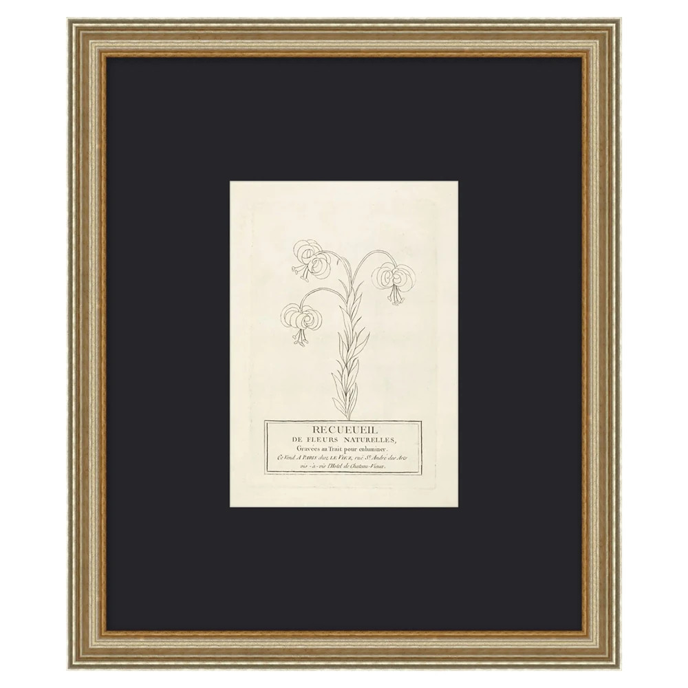 Sabine French Country Black Floral Antique Silver Frame Illustration - 20x17 | Kathy Kuo Home