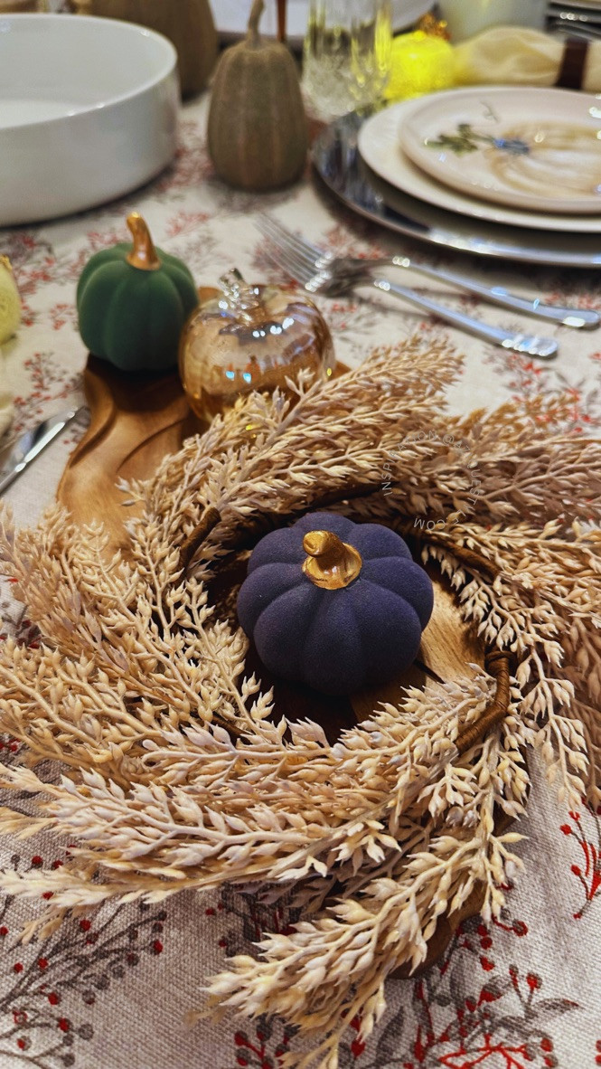 #LTKSeasonal #LTKGiftGuide #LTKParties