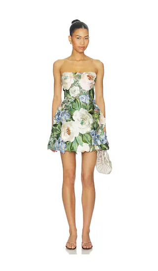 Roselle Floral Hand-embroidered Bustier Mini Dress | Revolve Clothing (Global)