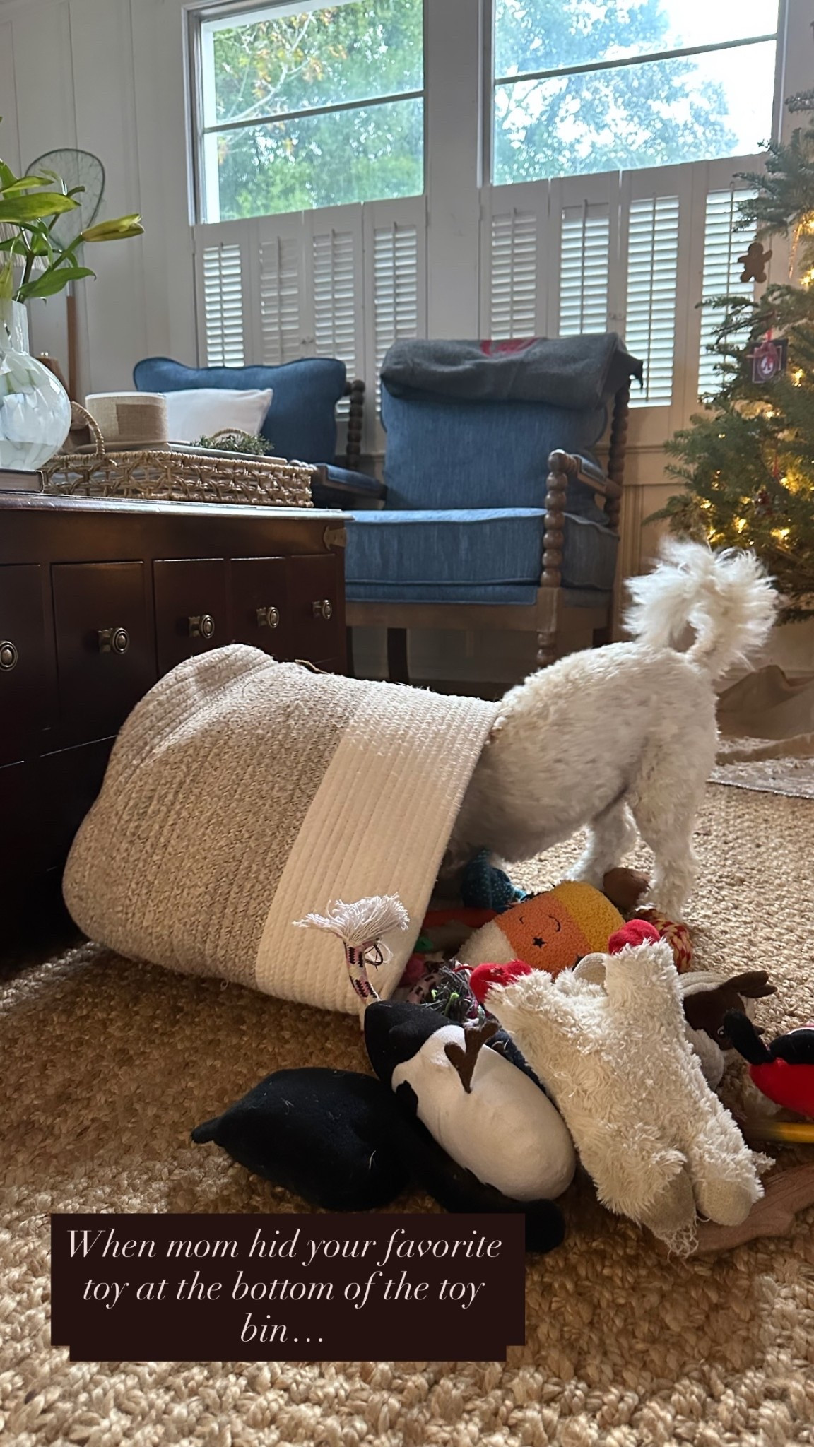 When mom hid your favorite toy at the bottom of the toy bin…