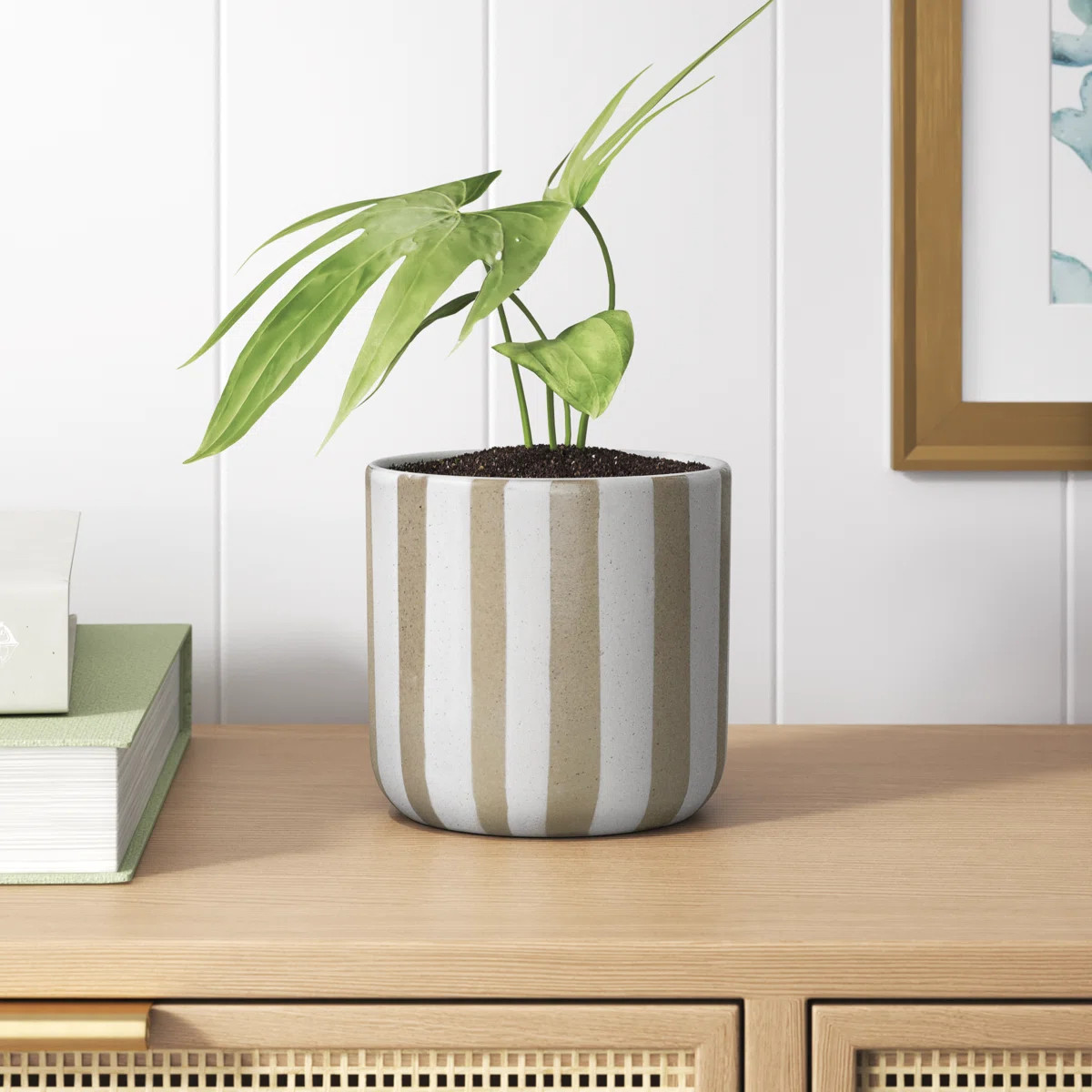 Rainee Stripes Cachepot | Wayfair North America