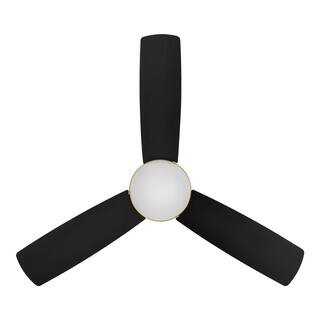 Hampton Bay Blaketon 46 in. Indoor/Covered Outdoor Matte Black Modern Ceiling Fan with Integrated... | The Home Depot