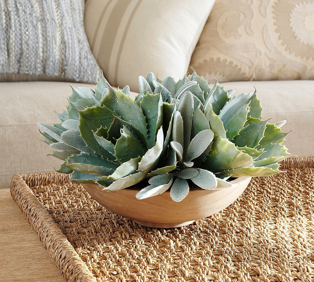 Faux Composed Succulent Arrangement | Pottery Barn (US)