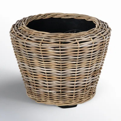 Ayriauna Rattan Urn Planter | Wayfair North America