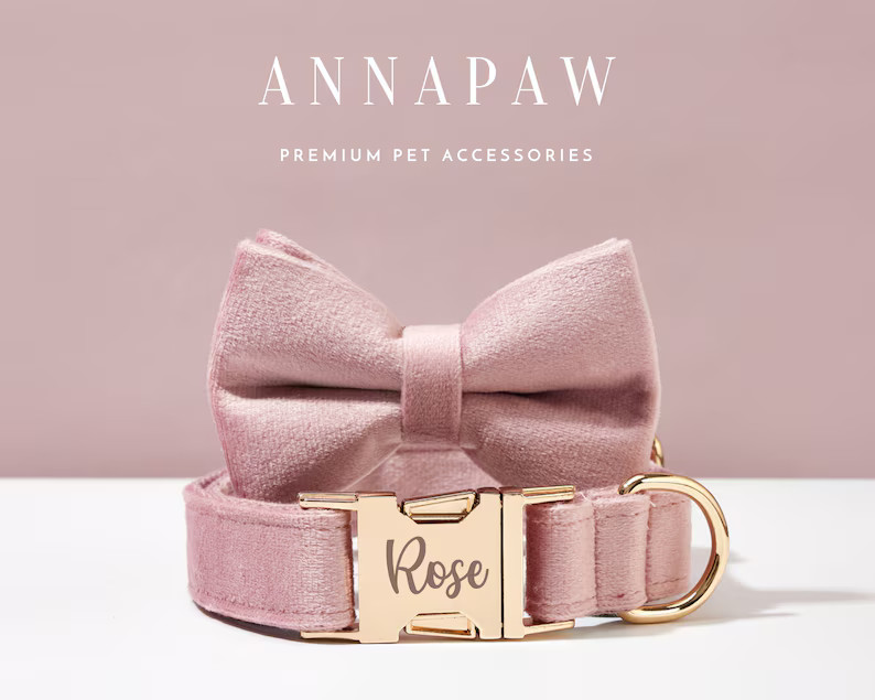 Fancy Dusty Pink Velvet Puppy Collar Leash Set,personalized Dog Collar Bowtie Set for Birthday Gi... | Etsy (US)