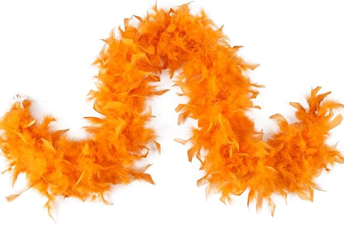 Turkey Feather Boa 1.64 Yards 30g /2 Yards 80g for Halloween Party Costume Decoration | Amazon (US)