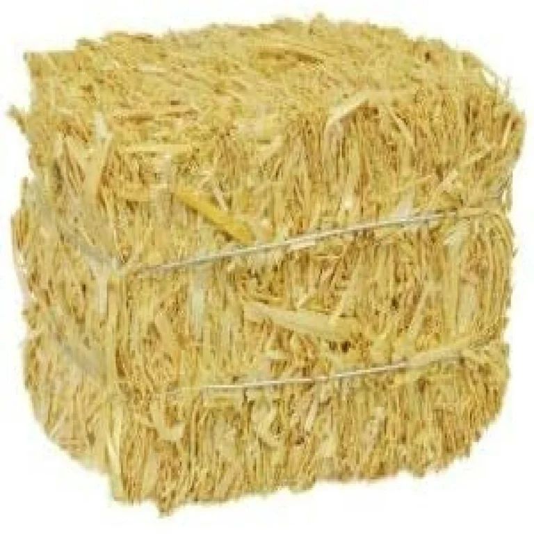 Mini Straw Bale Bundle of 3 Natural Hay for Autumn Fall Harvest, Craft Decoration and Display 2.5... | Walmart (US)
