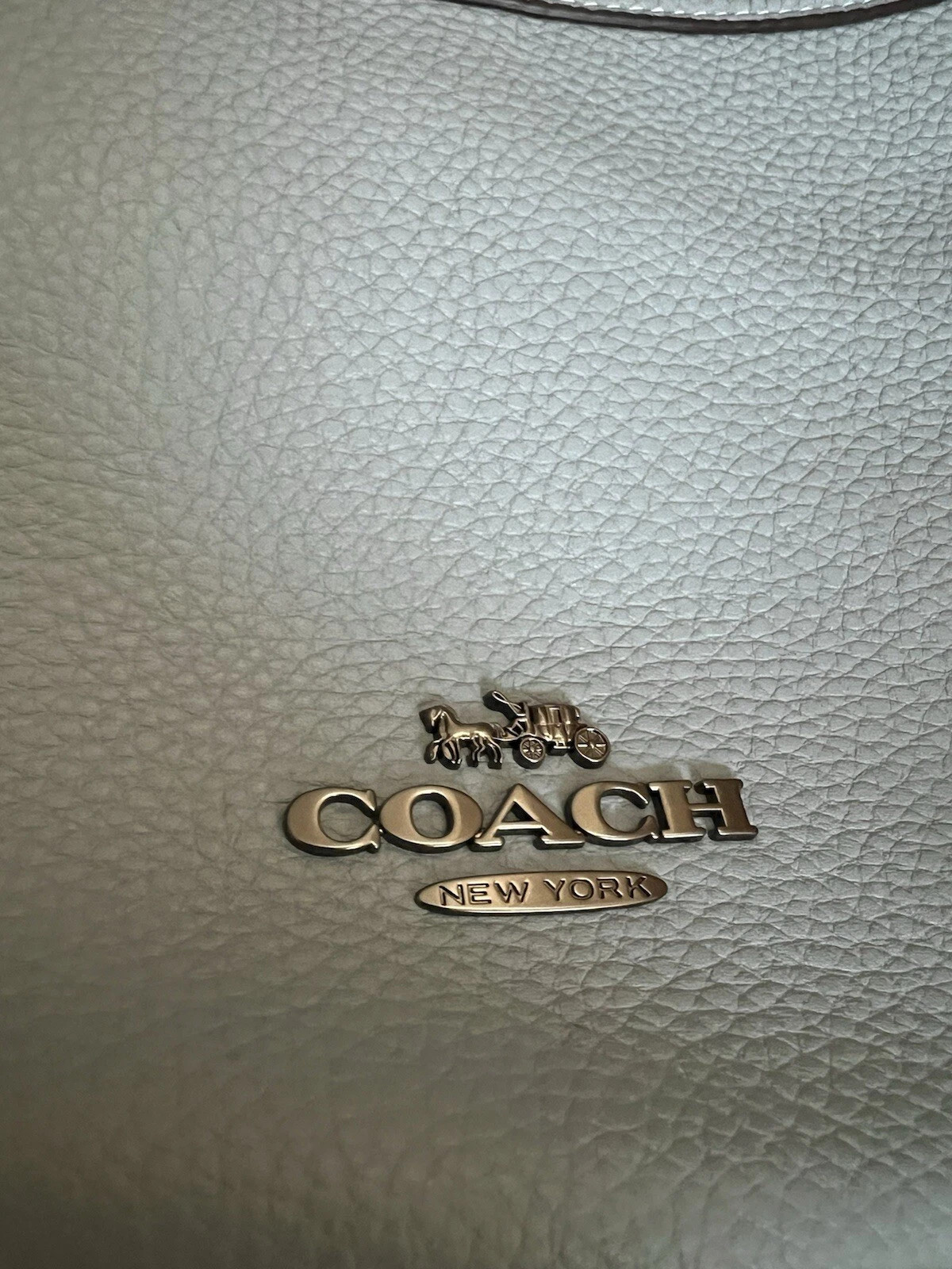 NWT Coach CO996 Aria Shoulder bag Pebble Leather Cornflower Women QBCFL blue | eBay US