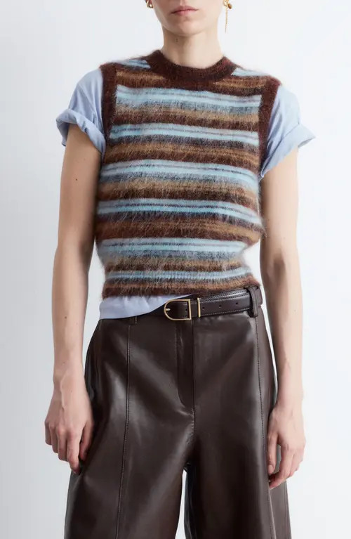 & Other Stories Stripe Wool & Mohair Blend Sweater Vest in Beige Dark at Nordstrom, Size X-Small | Nordstrom