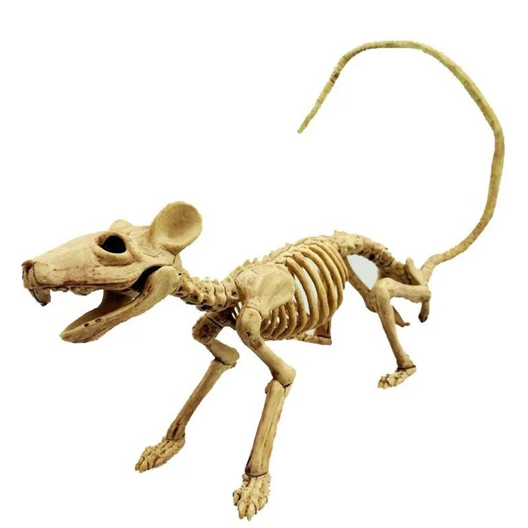 Pudcoco Human Skeleton Bones Real Life Size Hanging Halloween Props Decoration House Big | Walmart (US)