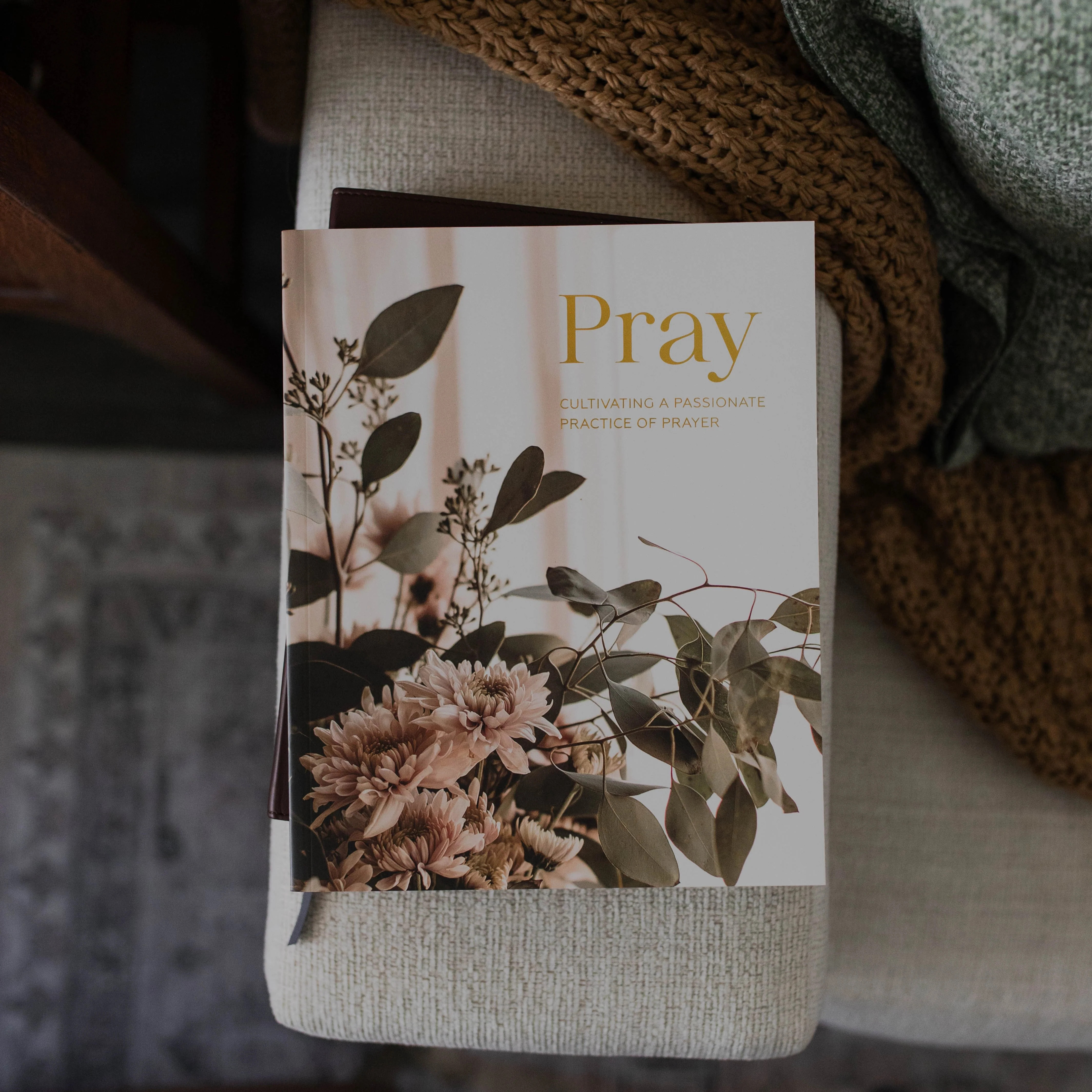 Pray | Cultivating a Passionate Practice of Prayer Bible Study | The Daily Grace Co.