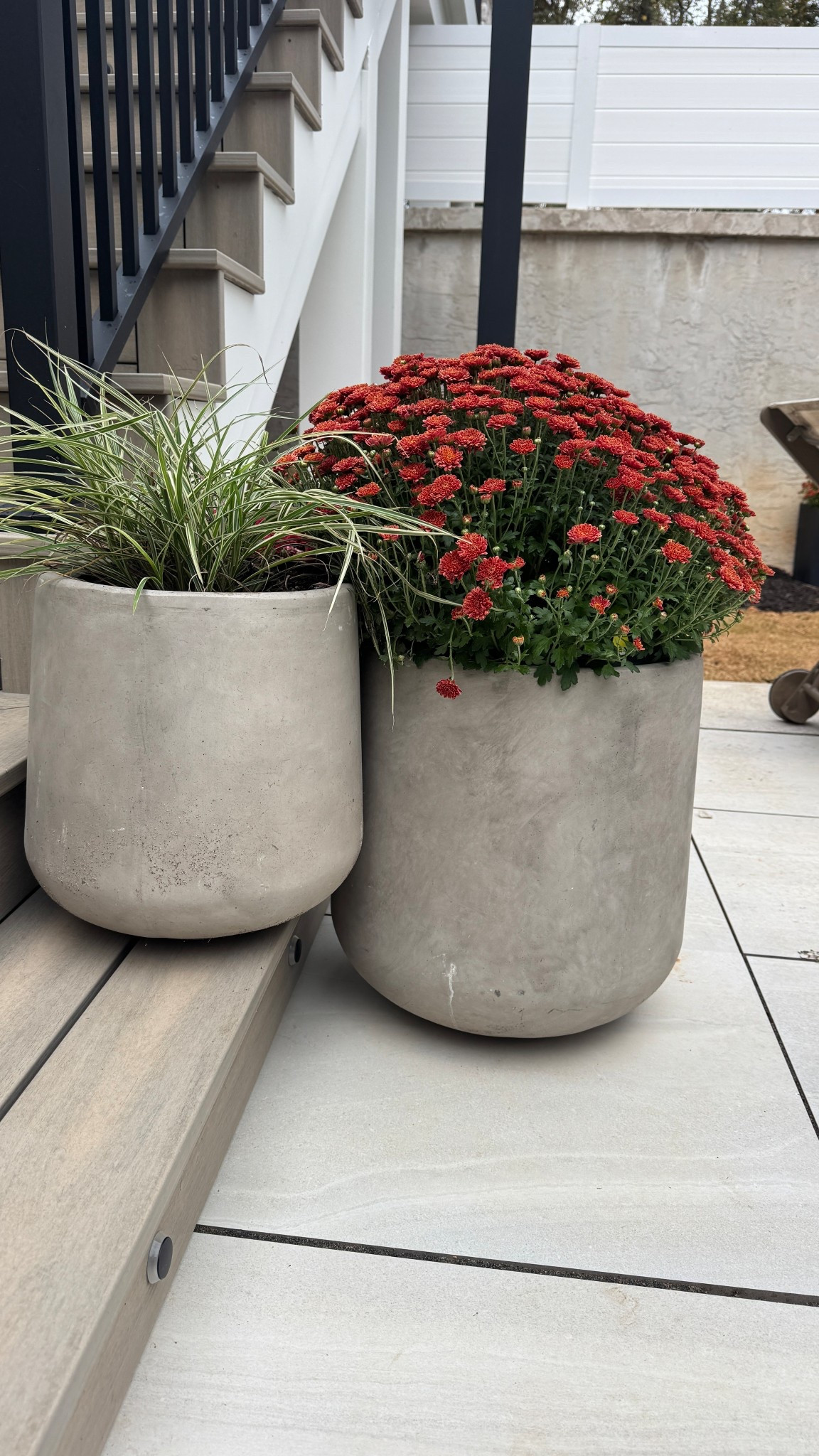I’m loving these gorgeous solid cement plant pots I found on Amazon! They’re available individually or as a set of three, and their clean, modern design makes them perfect for both indoor and outdoor spaces. Our plants are from lowe’s. They have the best selection at awesome prices  

#HomeDecor #IndoorPlants #OutdoorLiving #Planters #CementPlanters #ModernDesign #GardenStyle #PlantLovers #AmazonFinds”

#LTKHome #LTKSeasonal