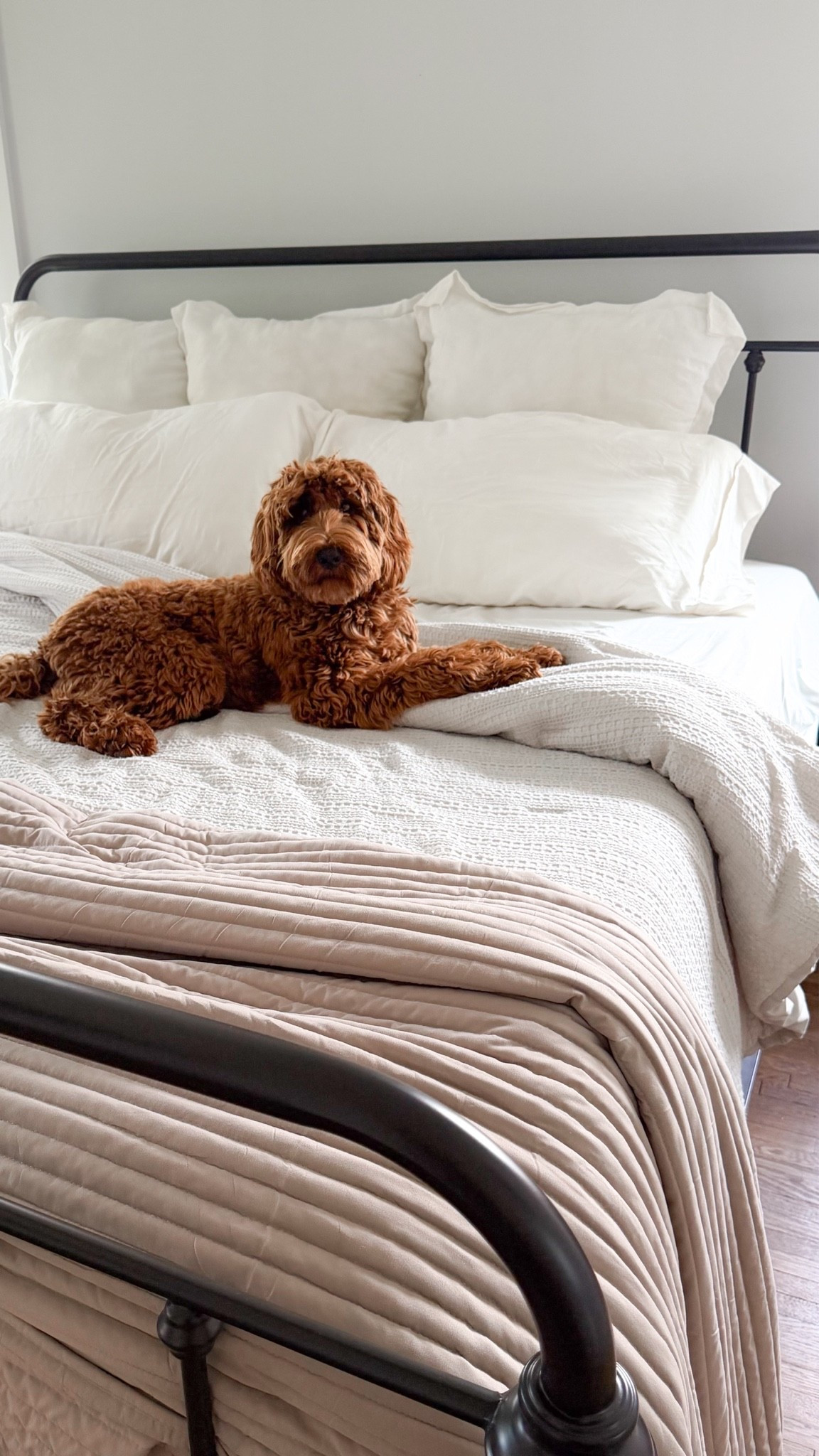 Cozy primary bedroom inspiration, neutral bedding, dreamy textures, bedroom decor. 

Use code: 50JESSICA for 50% off!

#LTKHome #LTKmomlife