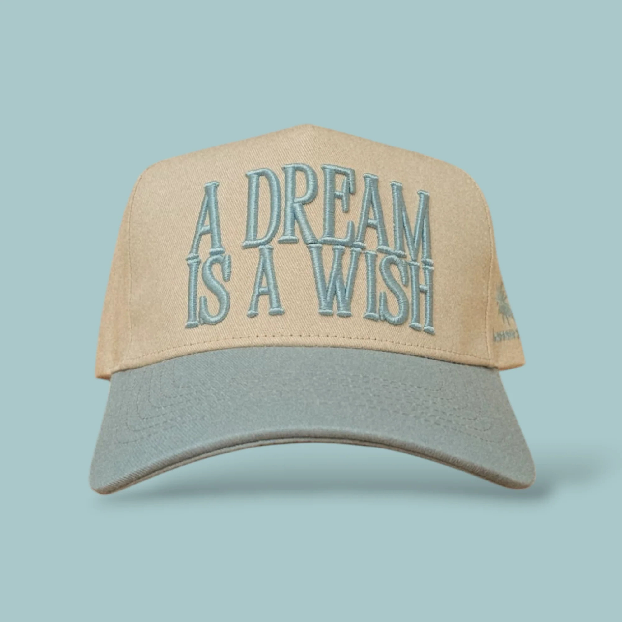 A DREAM IS A WISH HAT | Tomorrow's Memories Club