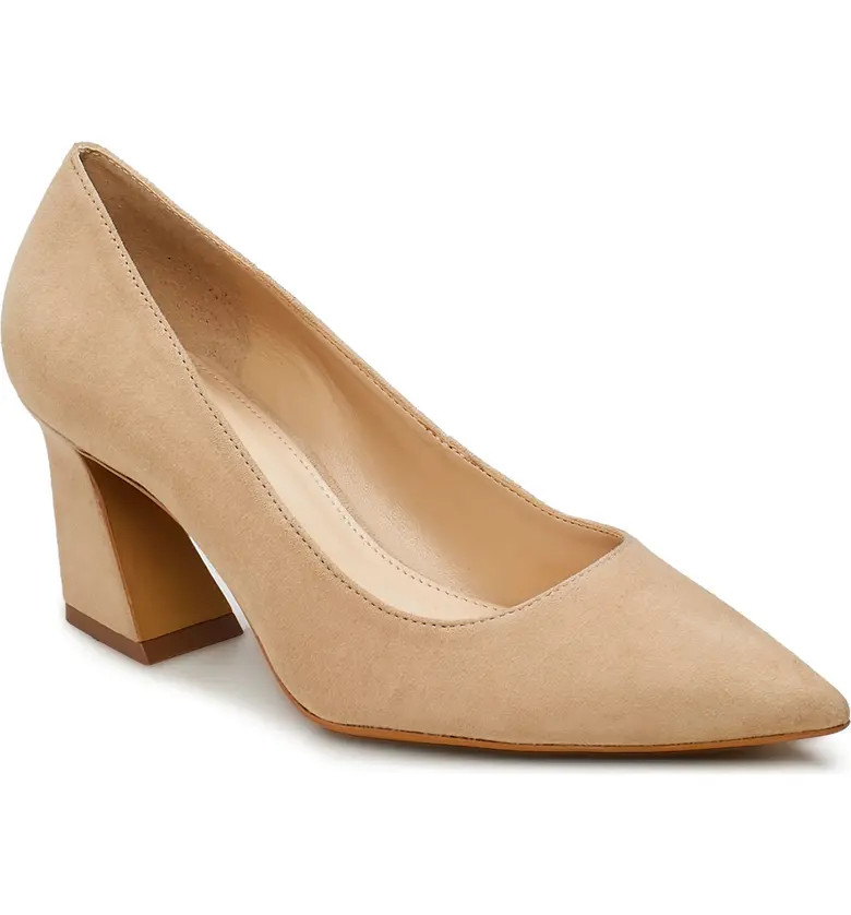 Hailenda Pointed Toe Pump | Nordstrom