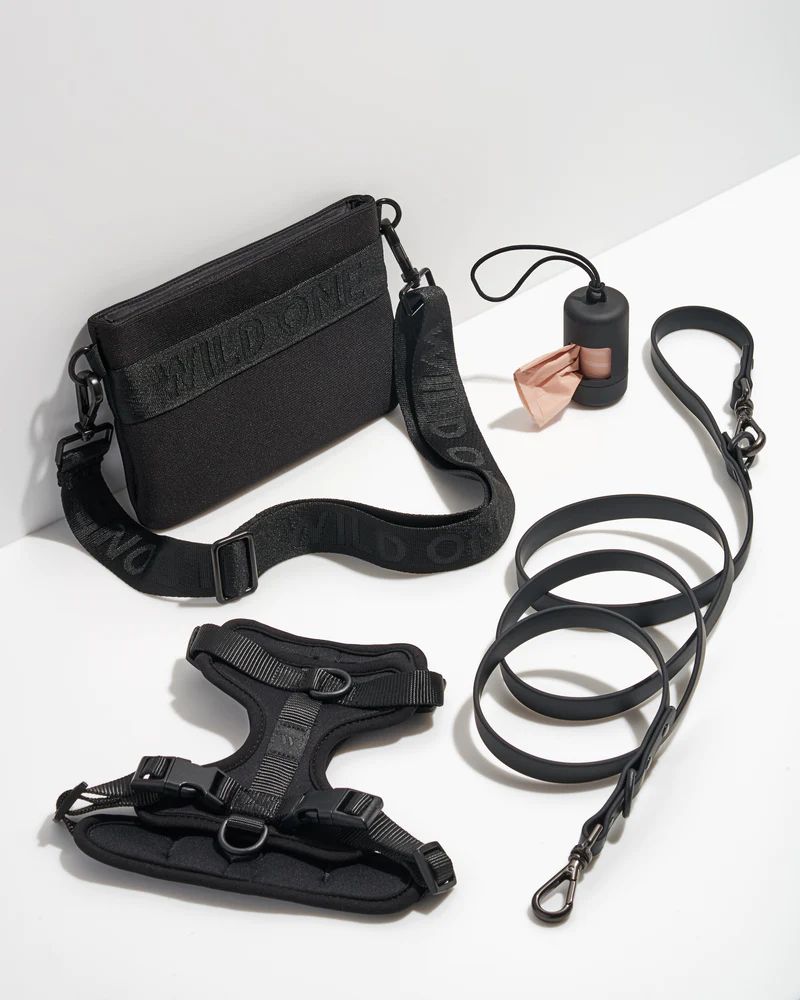 Harness Walk & Treat Kit | Wild One