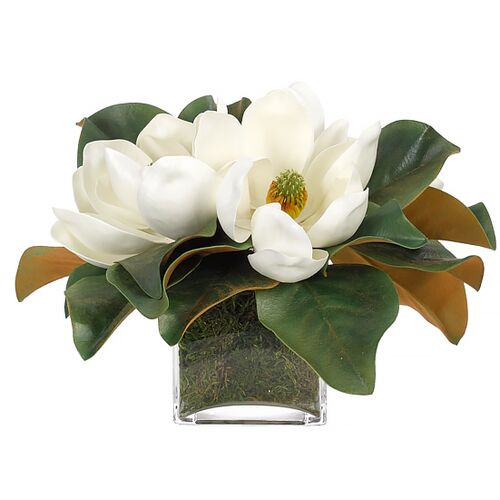 9" Magnolia in Glass Cube Vase with Moss, Faux | One Kings Lane