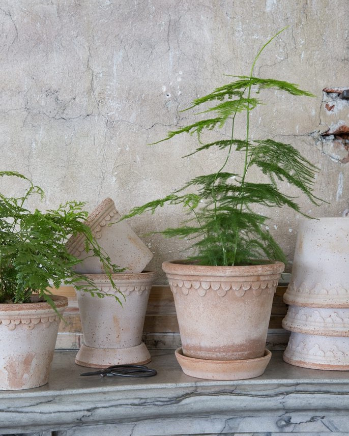 My favorite little pots - so charming!!

Home decor, outdoor decor, planters, kitchen decor 

#LTKHome