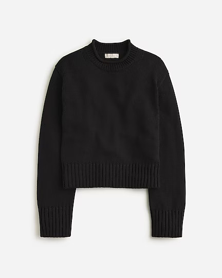 Rollneck™ sweater | J. Crew US