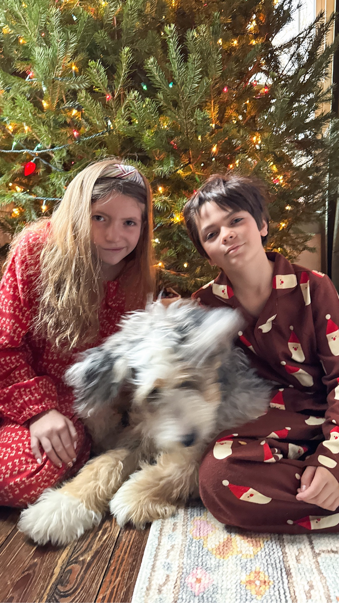 Behind the scenes of trying to get a pretty Christmas picture with a 50 pound Bernedoodle puppy 🤪😍😂 These Christmas pajamas are the cutest- they’re so soft & Oeko-Tex certified, too! 

#LTKHoliday #LTKKids #LTKGiftGuide
