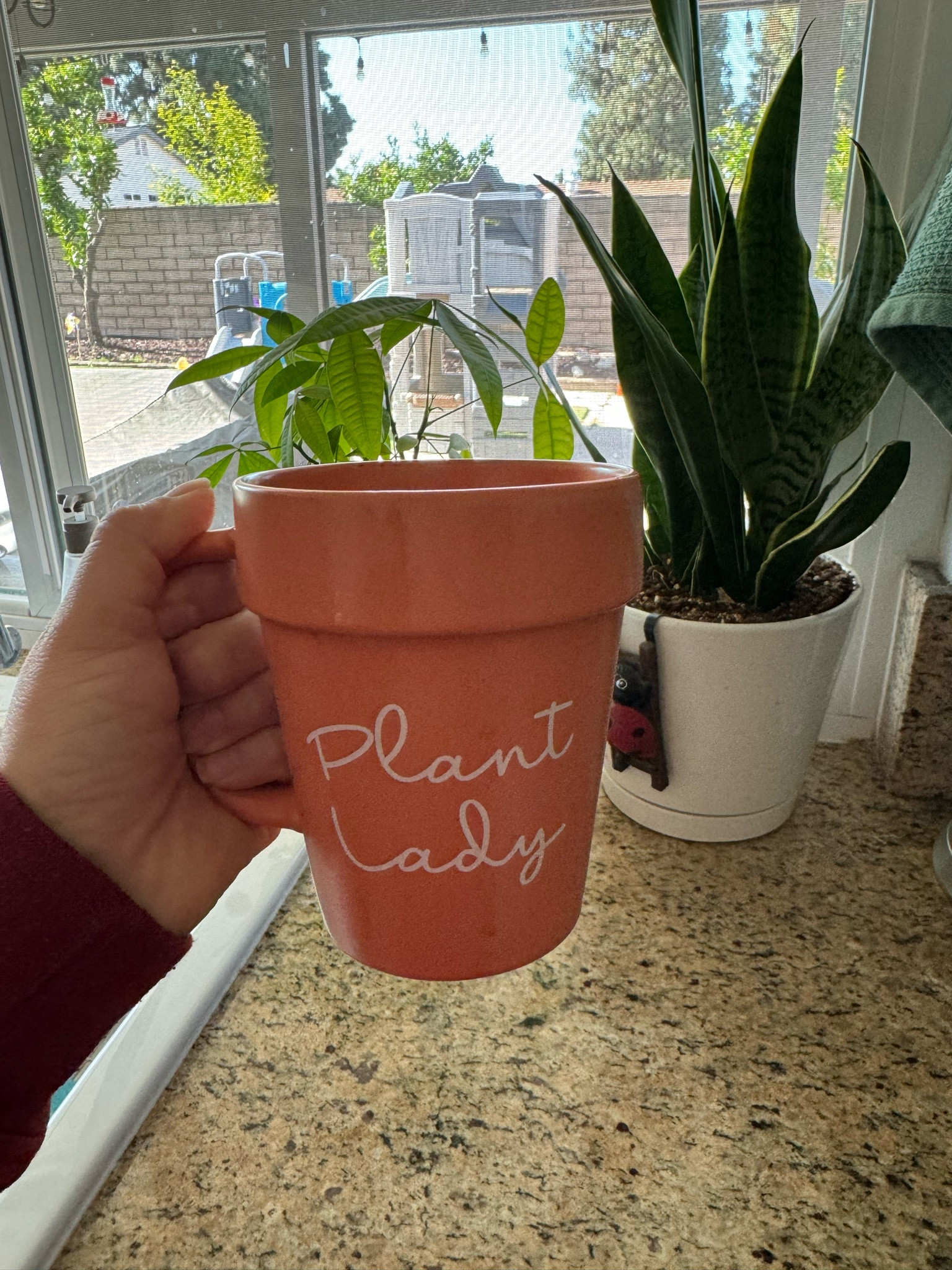 Happy Monday from me and my favorite mug #coffeemug #mugs 

#LTKHome