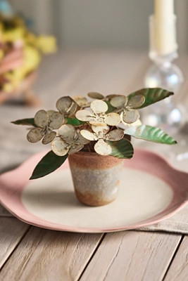 Iron Hellebore Pot | Terrain