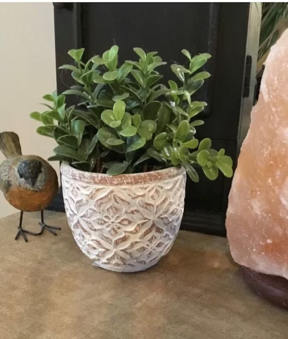 Floral Motif Concrete Planter With Drainage Hole  Cement | Etsy | Etsy (US)