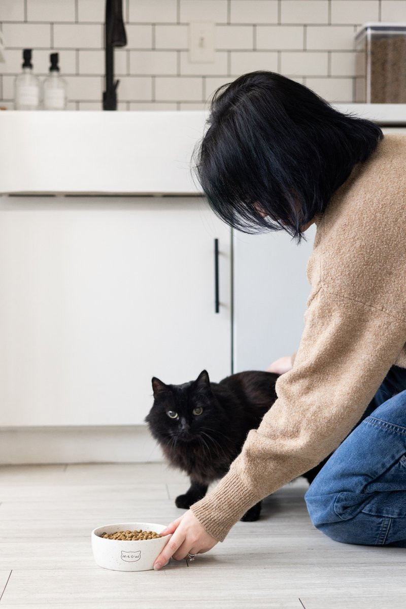 Pearhead Meow Ceramic Cat Bowl, Small | Chewy.com