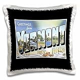 3dRose Greetings from Vermont Winter Scenic Postcard Reproduction - Pillow Case, 16 by 16-inch (pc_1 | Amazon (US)