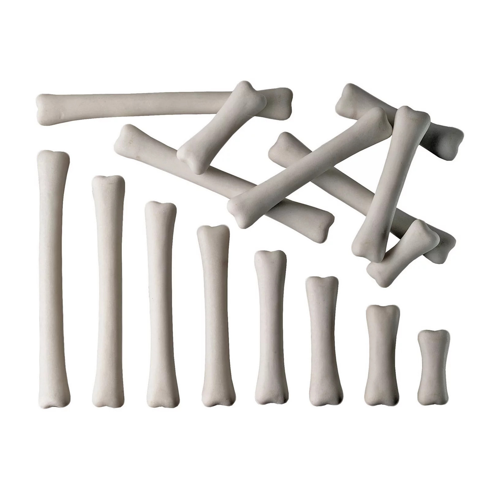 Yellow Door Dinosaur Bones Match & Measure Set, White | Kohl's
