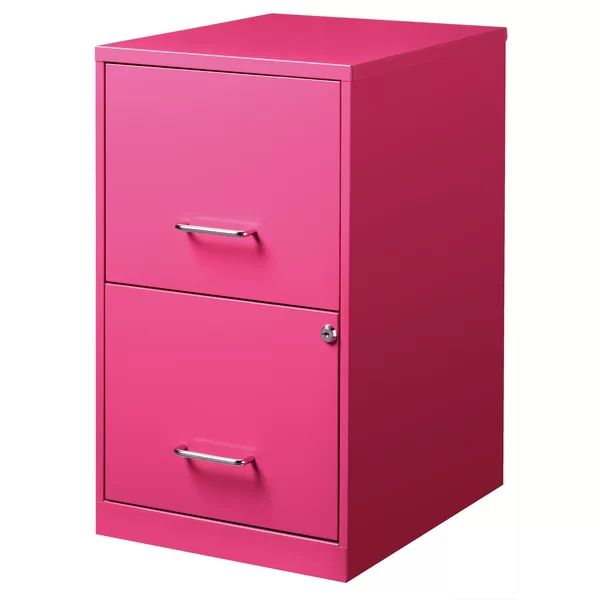 Damiyon 2-Drawer Vertical Filing Cabinet | Wayfair Professional