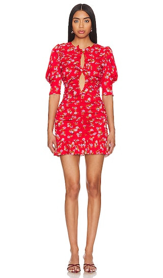 Mini Ruffle Dress in Wildeve Cluster & High Risk Red Combo | Revolve Clothing (Global)