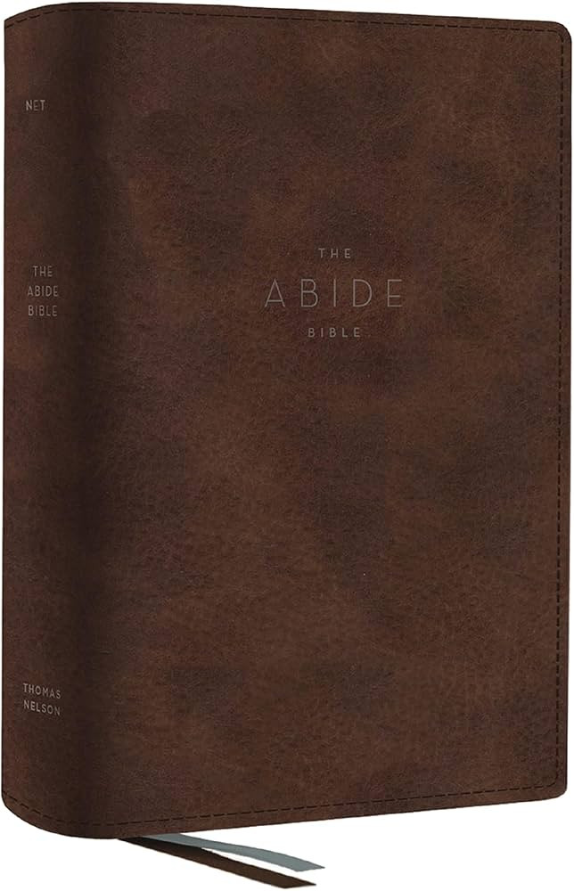 NET, Abide Bible, Leathersoft, Brown, Comfort Print: Holy Bible | Amazon (US)