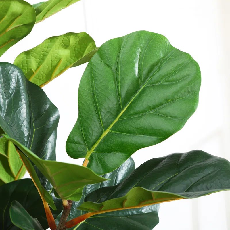Adcock Faux Fiddle Leaf Fig Tree in Pot with Realistic Leaves and Natural Trunk | Wayfair North America