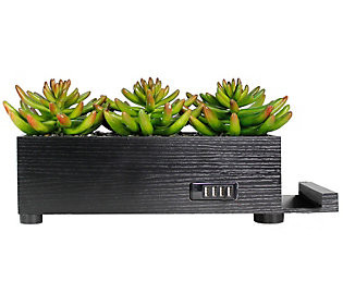 4-Port USB Power Plant Charging Station - Succulent | QVC